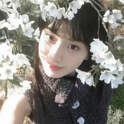 鹤遗失的语言